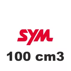 100 cm3