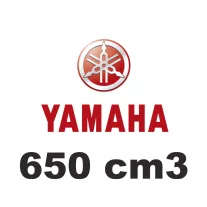 650 cm3