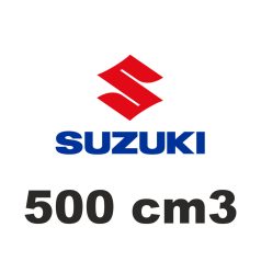 500 cm3