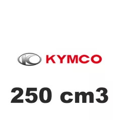 250 cm3