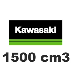 1500 cm3
