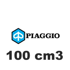 100 cm3