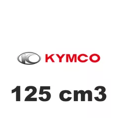 125 cm3