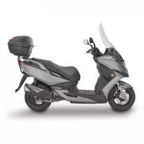 G-Dink 300 (2018)
