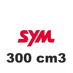 300 cm3