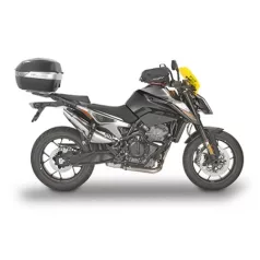 Duke 790 (2018-2020)