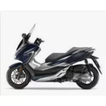 NSS 300 Forza