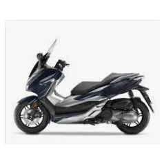 NSS 300 Forza