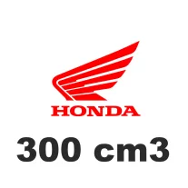 300 cm3