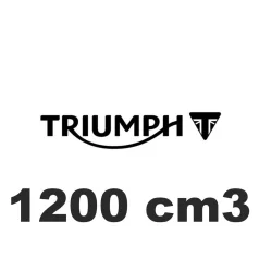 1200 cm3