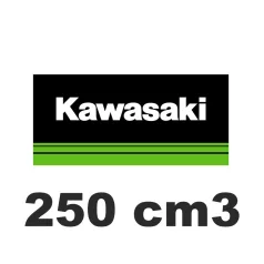 250 cm3