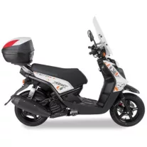 BWS 125 (2010-2016)