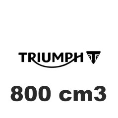 800 cm3