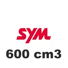 600 cm3