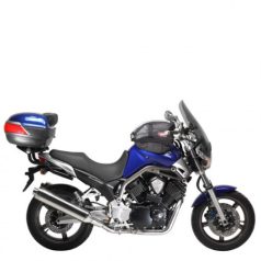 BT 1100 Bulldog (2002-2009)