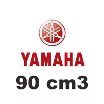 90 cm3
