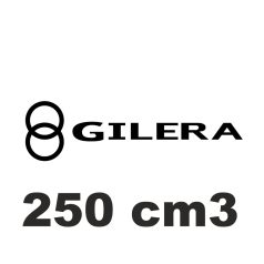 250 cm3