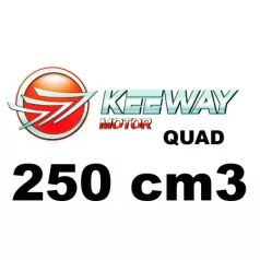 250 cm3