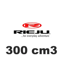 300 cm3