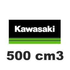 500 cm3