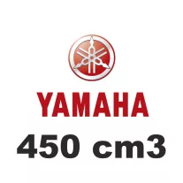 450 cm3