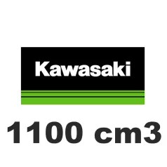 1100 cm3
