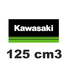 125 cm3