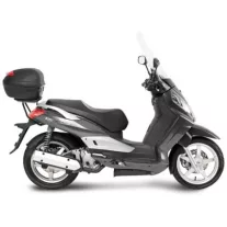 Citycom 300 (2008-2018)