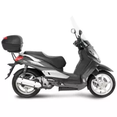Citycom 300 (2008-2018)