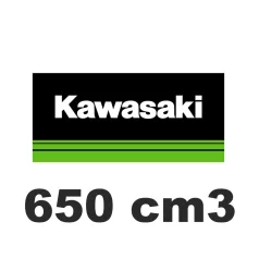 650 cm3
