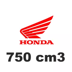 750 cm3