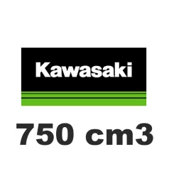 750 cm3