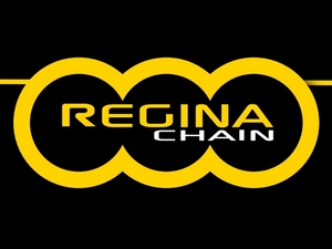 REGINA lánc szett 15% árkedvezménnyel